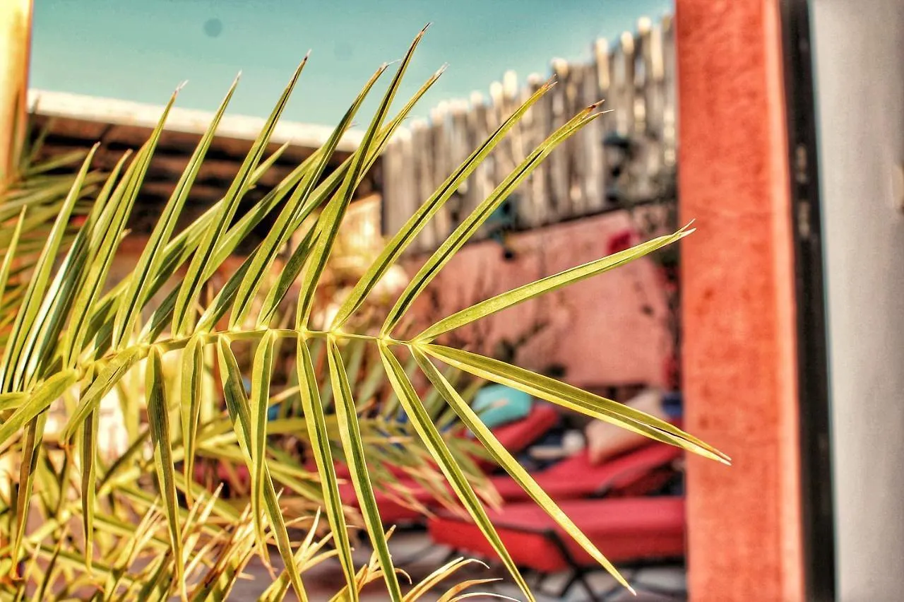 ***  Riad Arabic House & Spa Marrakesh Marocco