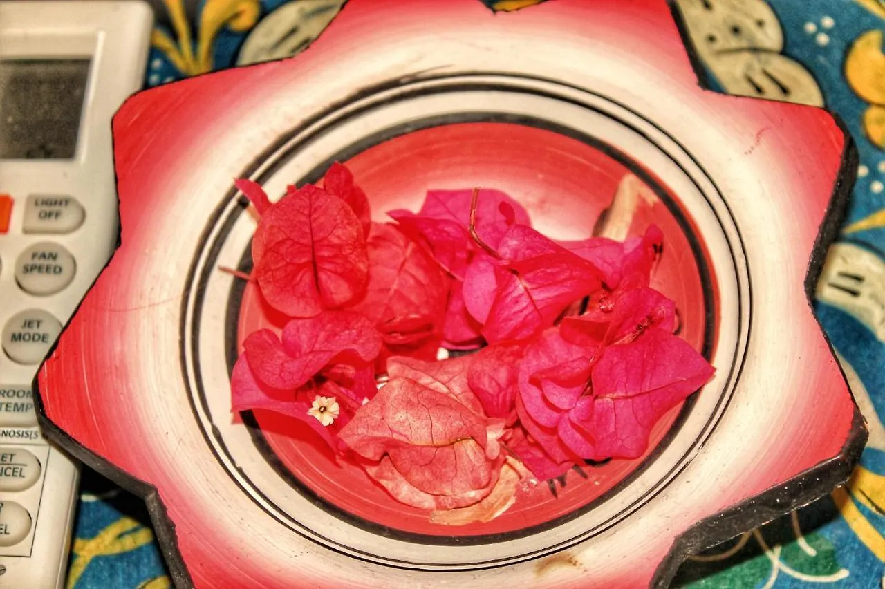 Riad Arabic House & Spa Marrakesh